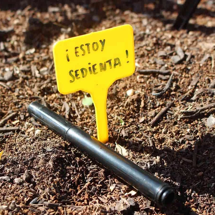 etiquetas huerto