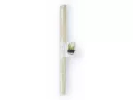 Sticks de bambú natural 30cm (20u) - BAMBOO STICK 30 - Imagen 3