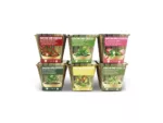 Kit de cultivo con semillas de fresa - GROW ME KITCHEN FRESAS 4 ESTACIONES - Imagen 4