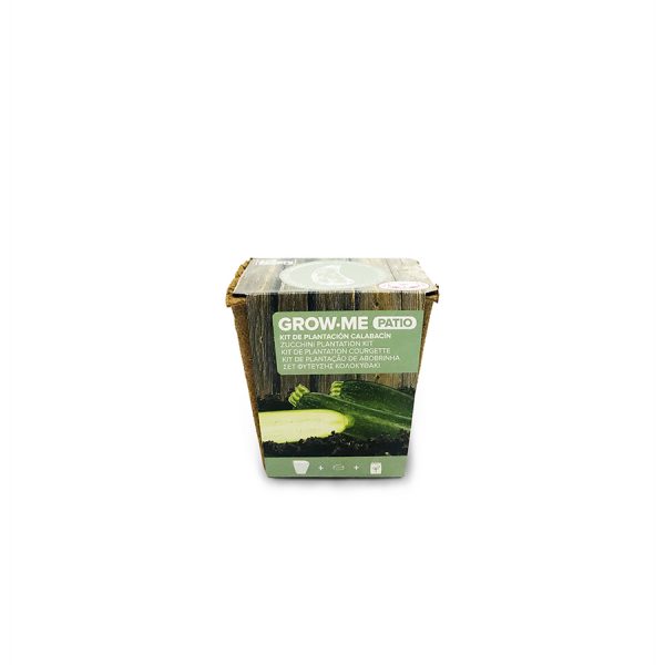 Kit de cultivo con semillas de calabacín «black beauty» – GROW ME PATIO CALABACÍN Kit de cultivo con semillas de calabacín «black beauty» – GROW ME PATIO CALABACÍN