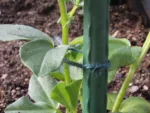 Cuerda de yute color verde en lata 80 metros - YUTUBE - Imagen 2