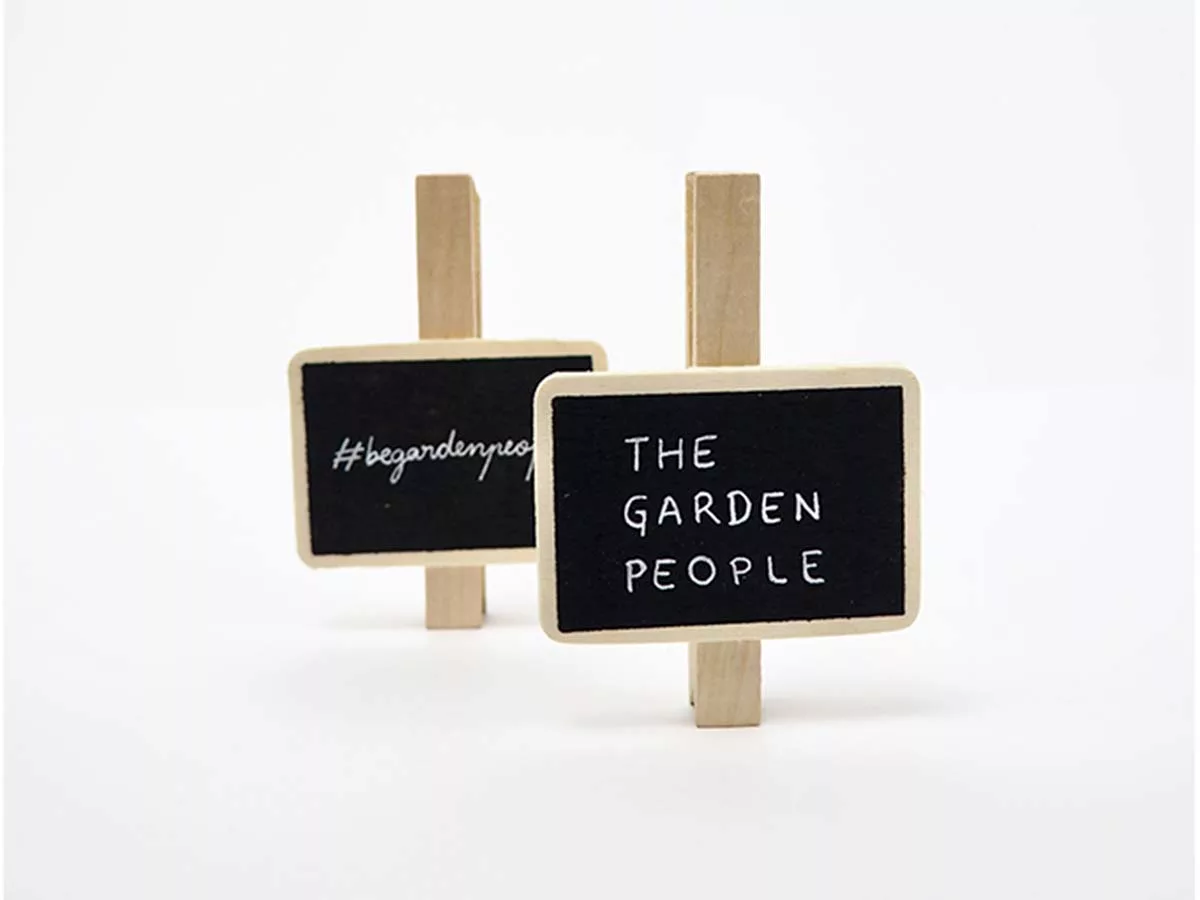 PINZA ME_1-min Pinzas con pizarra (3u) - PINZA ME - Imagen 1