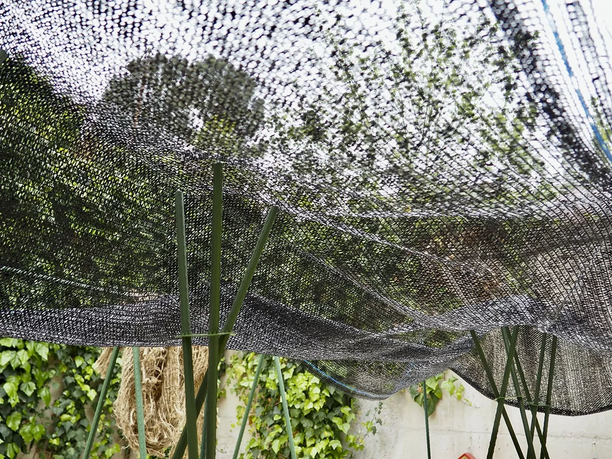 SUNFREE_AMBIENTE_1-min malla de sombreo