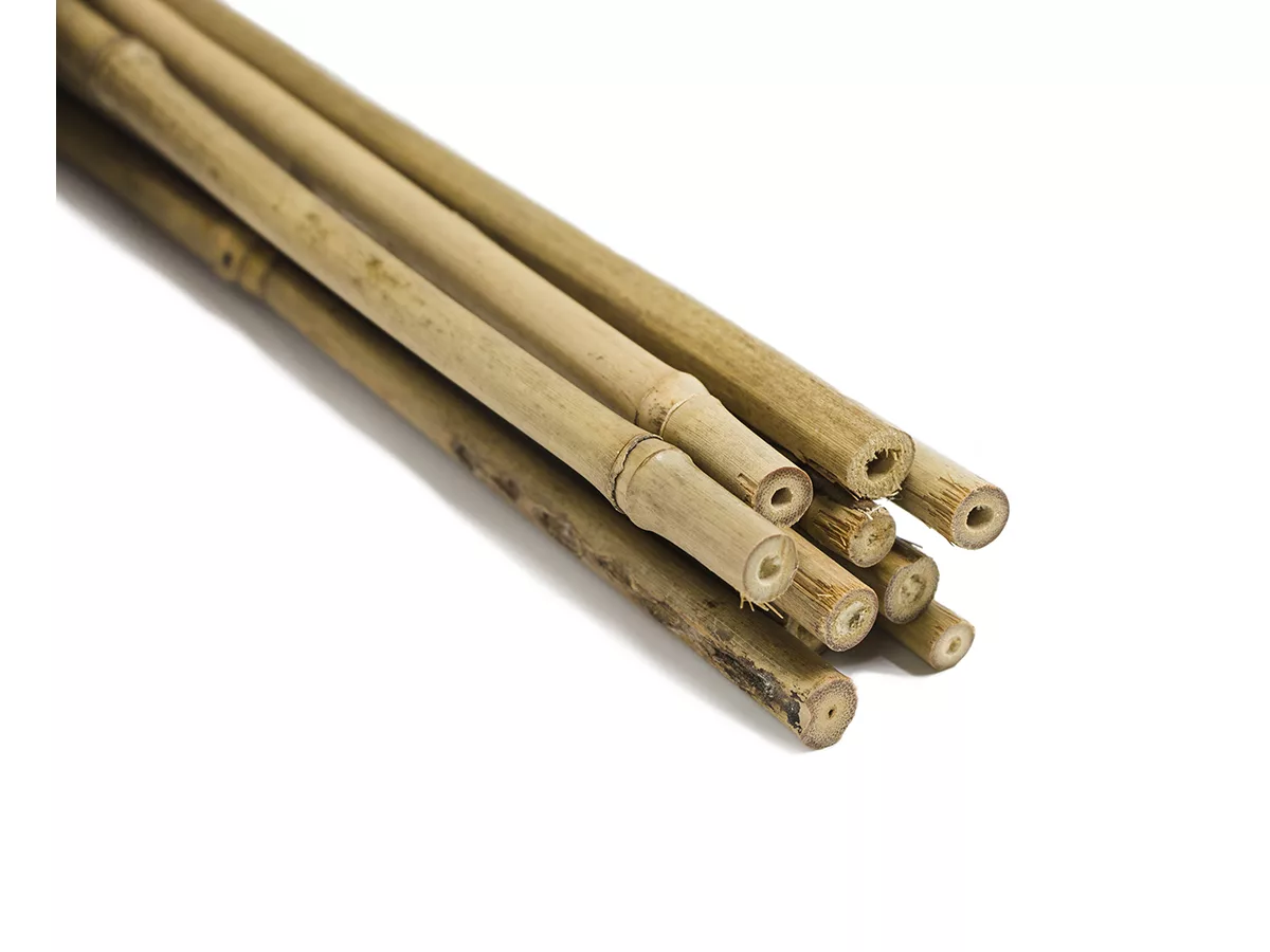 tutobambu canya (1) tutor de bambu natural 180 cm