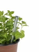 Macetas de cultivo Ø15cm (3u) - GROWPOT L - Imagen 3