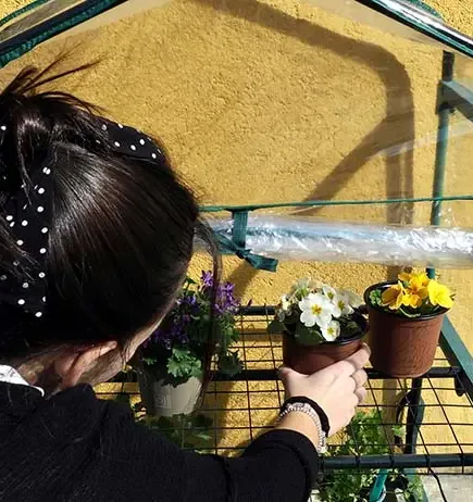 Preparándote para la temporada otoñal e invernal en tu jardín: mantén la vitalidad de tus cultivos a pesar del clima frío