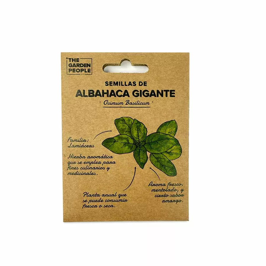 sobres de semillas de albahaca