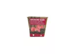 kit de cultivo tomate rosado