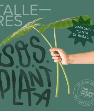 CURSO S.O.S PLANTAS – 28/09