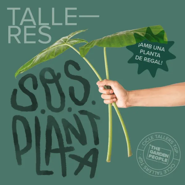 CURSO S.O.S PLANTAS – 23/11