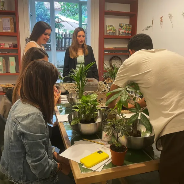 taller de plantas de interior