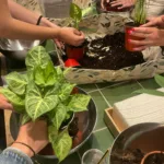 taller de plantas