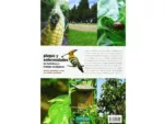 Libro de jardinería - PLAGAS Y ENFERMEDADES EN HORTALIZAS Y FRUTALES - Imagen 2