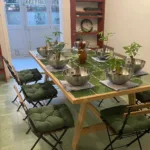 taller de kokedama