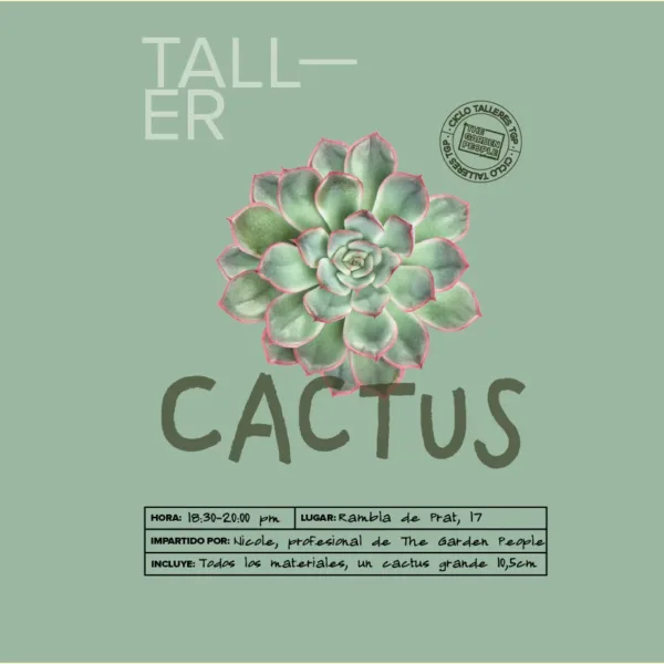 TALLER DE CACTUS – 06/06