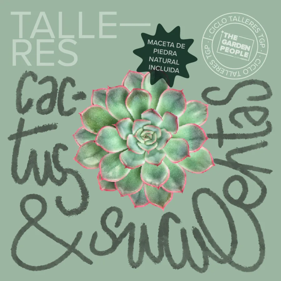 taller cactus barcelona