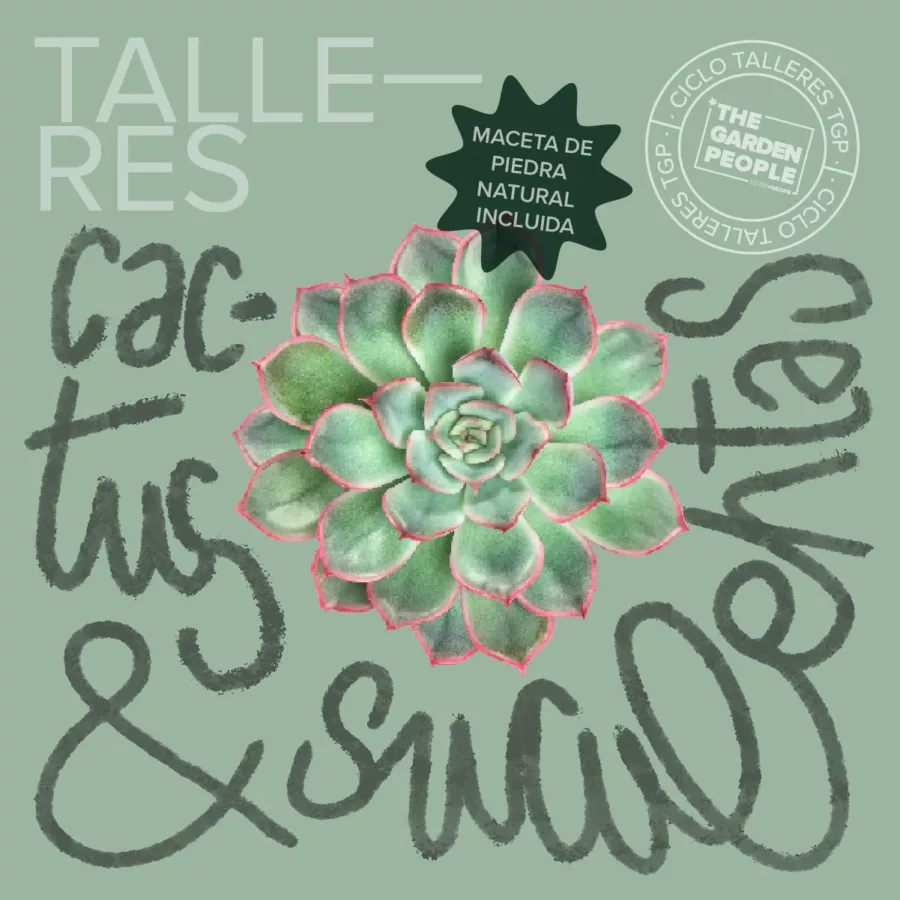 taller cactus barcelona