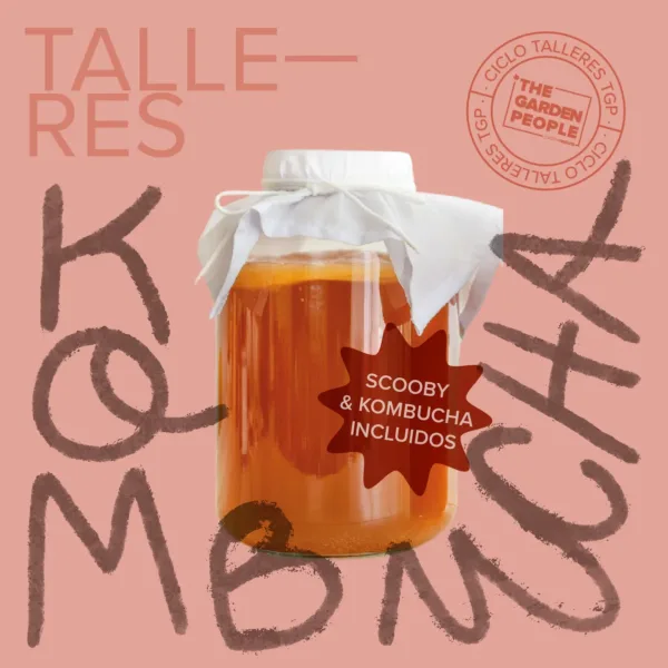 TALLER DE KOMBUCHA – 07/05