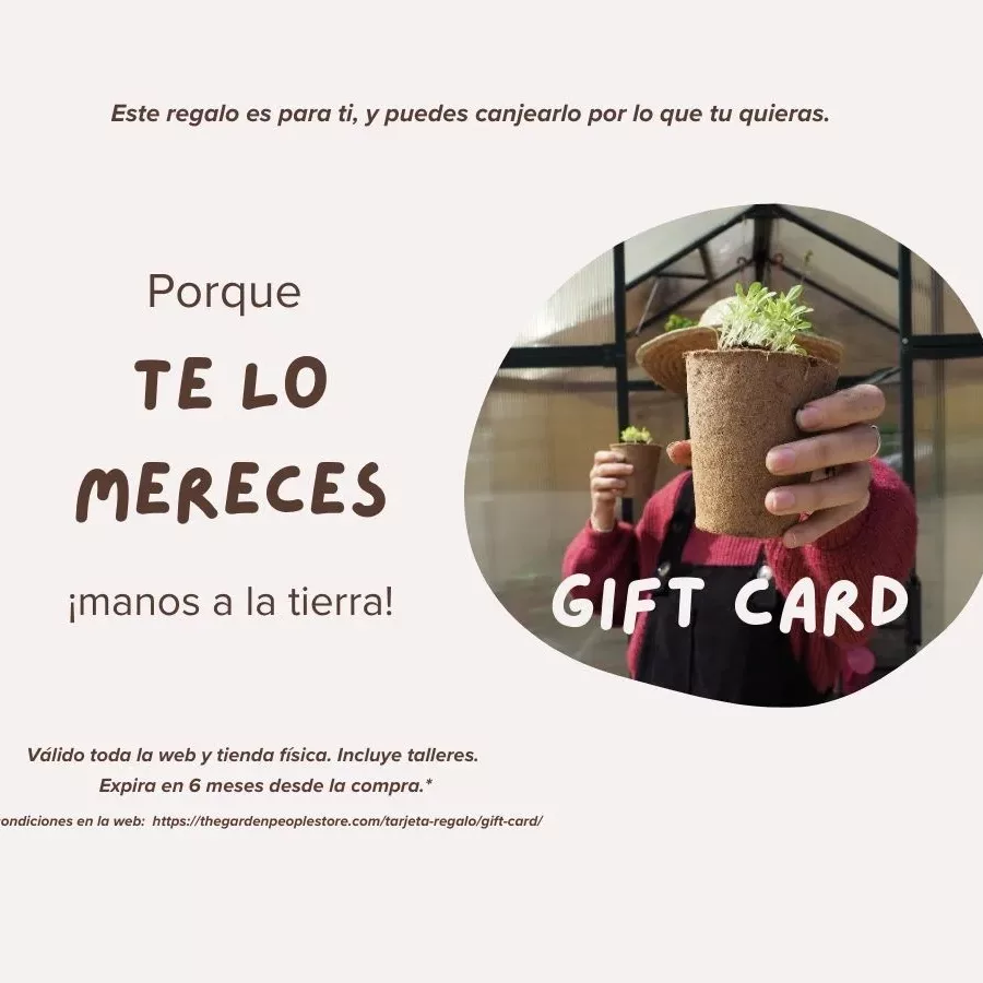 tarjeta regalo