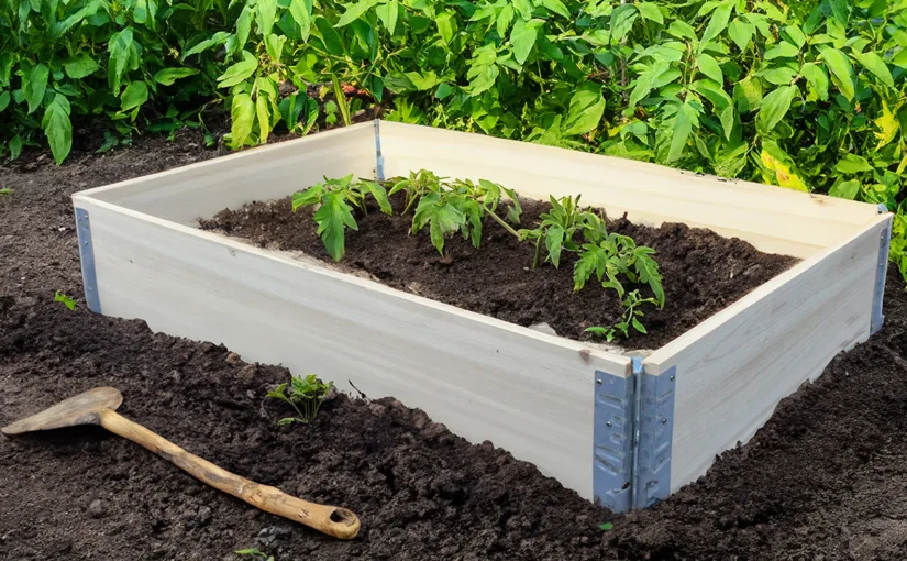 Cama de cultivo Growpetto Bed