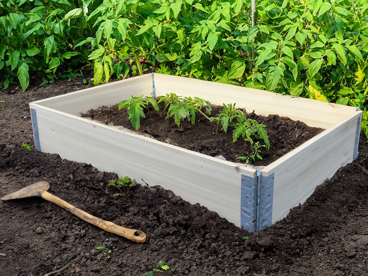 Cama de cultivo Growpetto Bed