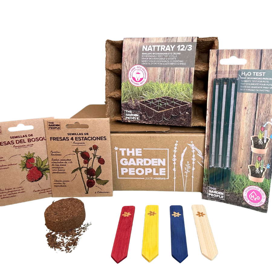 kit cultivo san valentín