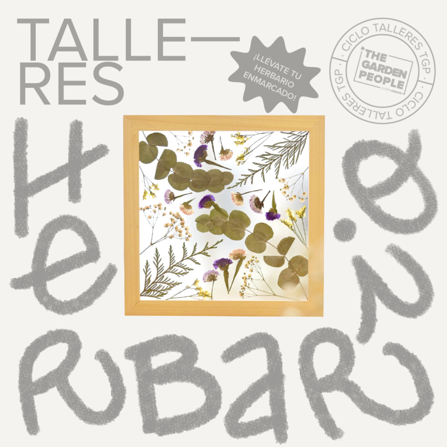 taller herbario