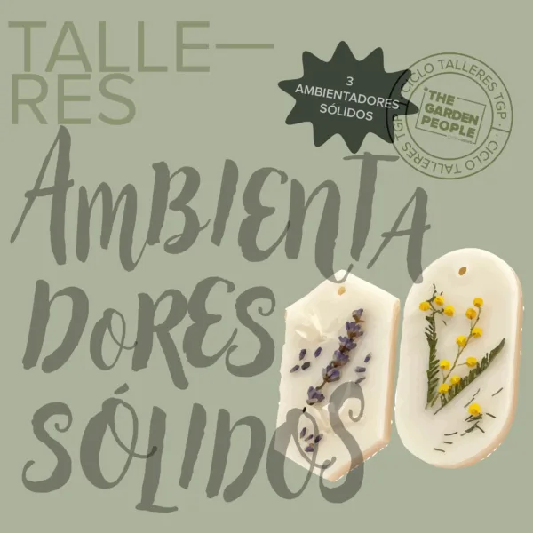 TALLER DE AMBIENTADORES SÓLIDOS- 20/11